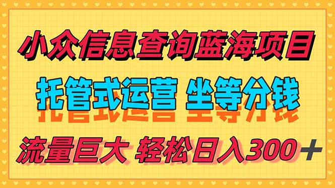 （15216期）稳定日入300＋，小众信息查询蓝海项目，全程懒人式托管，解放你的时间插图