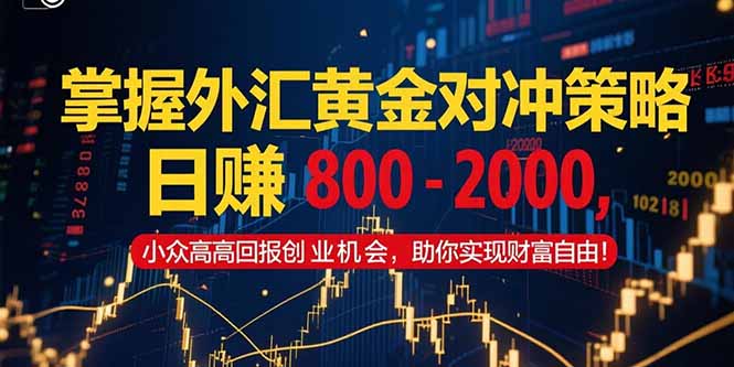 （15198期）掌握外汇黄金对冲策略，日赚 800 – 2000，小众高回报创业机会，助你实…插图