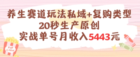 养生赛道玩法私域+复购类型，20秒生产原创实战单号月收入5k+插图