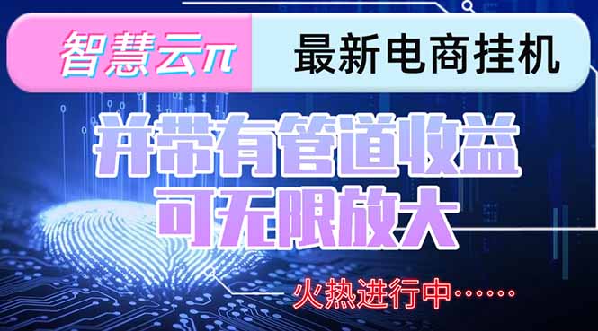 （15314期）智慧云π电脑挂机单机每天收益300—500+ 并带有团队管道收益 可无限放大插图