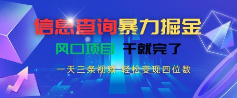 信息查询暴力掘金，一天三条视频，轻松变现四位数，风口项目干就完了插图