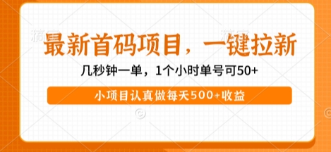 最新首码项目，操作最简单，收益高，一键拉新，1个小时单号可50+，小项目认真做每天5张+收益插图