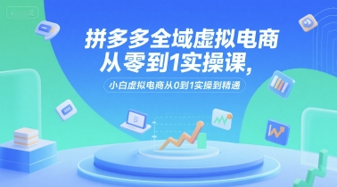 拼多多全域虚拟电商从零到1实操课，小白虚拟电商从0到1实操到精通插图