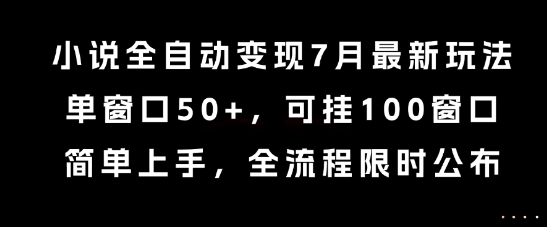 小说全自动变现7月玩法，单窗口50+，可挂100窗口，简单上手，全流程限时公布插图