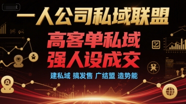 一人公司私域联盟，高客单私域，强人设成交，建私域 搞发售 广结盟 造势能插图