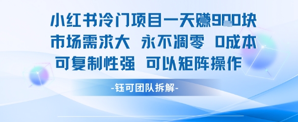 小红书冷门项目一天收益9张，市场需求大，0成本，可复制性强可以矩阵操作插图