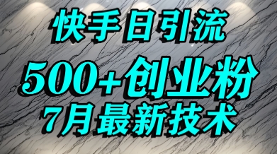 创业粉怎么打？快手精准引流创业粉，宝妈群体日进500+精准流量插图