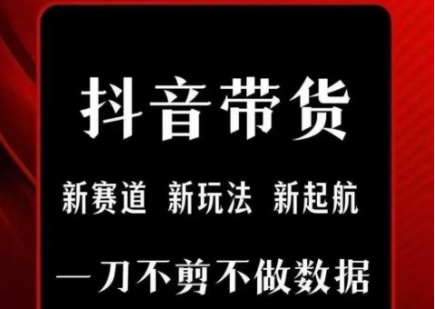 抖音短视频一刀不剪带货，不剪辑，不直播，每天发个视频，等着出单获取带货佣金插图