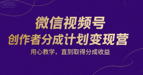 微信视频号创作者分成计划变现营，用心教学，直到取得分成收益插图
