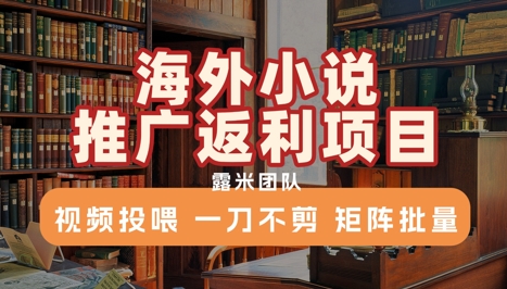 海外小说推广返利项目，视频投喂， 一刀不剪，矩阵批量插图