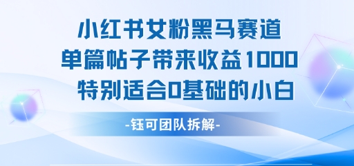 小红书女粉黑马赛道单篇帖子带来收益1k+，特别适合0基础的小白插图