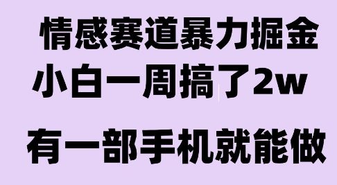情感暴力掘金项目，新人操作一周挣了2W，长期稳定小白可做插图