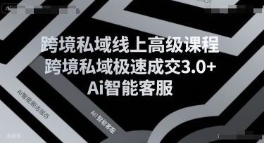 跨境私域线上高级课程，跨境私域极速成交3.0+Ai智能客服插图