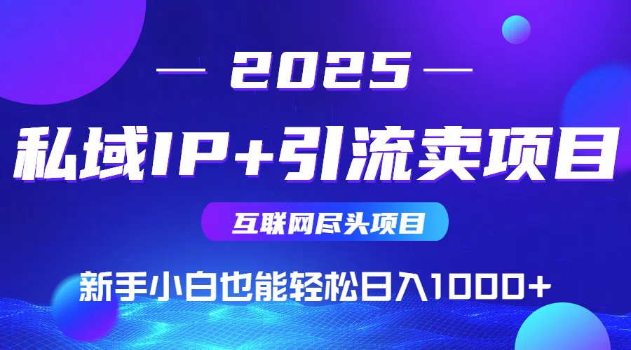 （15532期）2025网创尽头项目，私域IP+引流，新手小白也能在家日入1000+插图