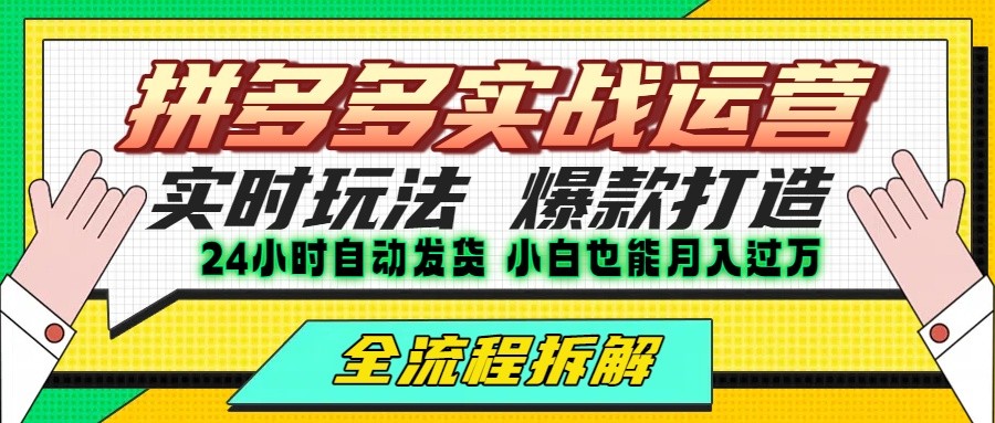 拼多多最新实战运营高投产：长久稳定项目，单店利润一天三位数插图