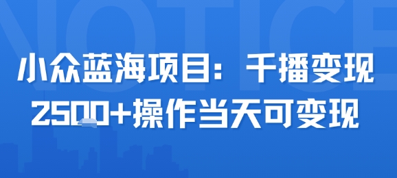 小众蓝海项目，千播变现2.5k+操作当天可变现插图