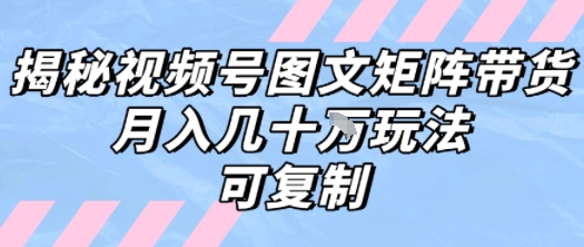 解密视频号图文矩阵带货，月入几个W的打法，可复制插图