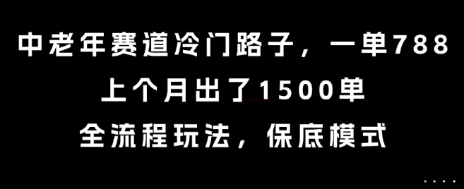 中老年赛道冷门路子，一单788，上个月出了1500单，全流程玩法，保底模式插图