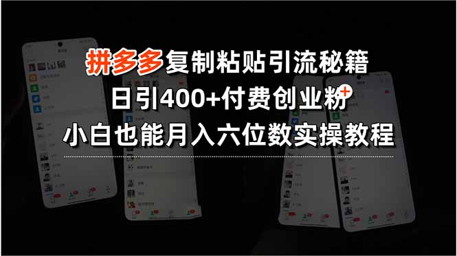 （15613期）拼多多复制粘贴引流秘籍，日引400+付费创业粉，小白也能月入六位数实操…插图