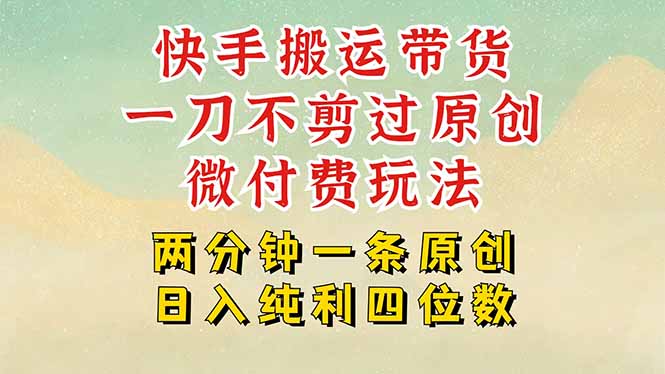 （15577期）快手黑科技搬运带货，一刀不剪过原创，微付费投流玩法，轻松日入四位数…插图