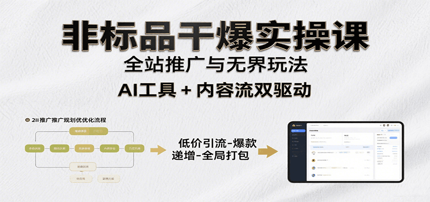 非标品干爆实操课：含多案例及操盘方法，从选品到推广、成交，助力打造爆款实现盈利插图