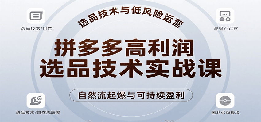 拼多多高利润选品技术实战课，手把手教学自然流高投产起爆，实现低风险可持续盈利插图