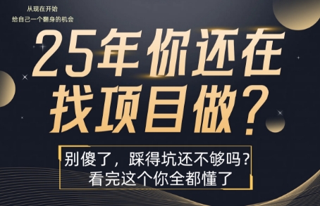 25年，你还在疯狂的找项目吗？别傻了，看完这个你都懂了插图