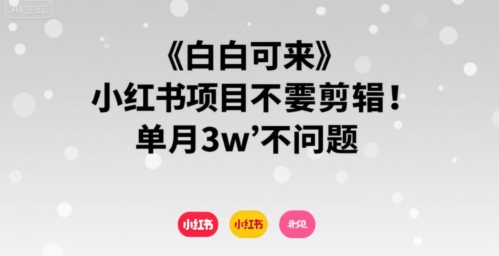 小白可来 小红书项目不需要剪辑 单月3w不是问题插图