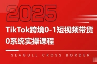 TikTok跨境0-1短视频带货，系统拆解TikTok跨境带货全链路，实现跨境可持续盈利插图