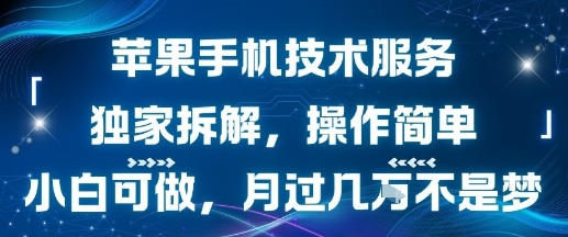 苹果手机技术服务，独家拆解，操作简单，小白可做，月过1W不是梦插图