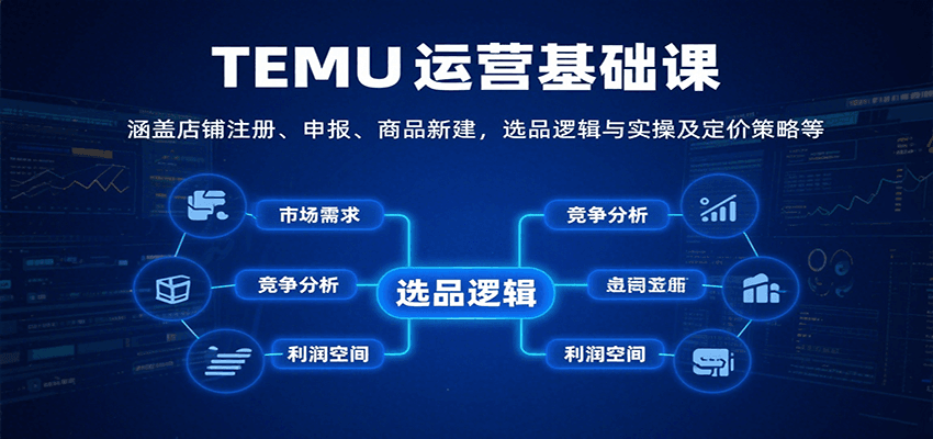 TEMU运营基础课：涵盖店铺注册、申报、商品新建，选品逻辑与实操及定价策略等插图