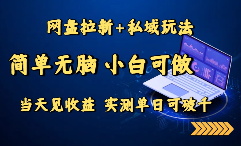 （15744期）网盘拉新+私域玩法，简单无脑，小白可做，当天见收益，实测单日可破千插图