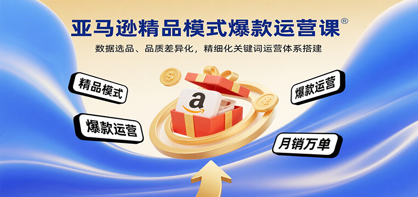 亚马逊精品模式爆款运营课：数据选品、品质差异化，精细化关键词运营体系搭建插图