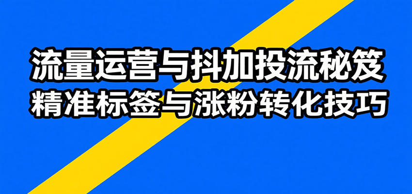 流量运营与抖加投流秘笈，含算法解析、爆款打造、精准标签与涨粉转化技巧插图