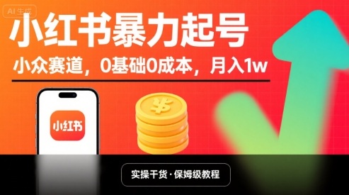 小红书暴力起号，小众赛道，0基础0成本，月入1w插图