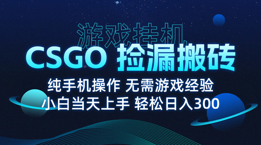 （15820期）8月最新游戏搬砖，CSGO纯挂机，不需要玩游戏，实现真挂机，月入1W+插图1