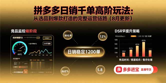 （15850期）拼多多日销千单高阶玩法：从选品到爆款打造的完整运营链路（8月更新）插图