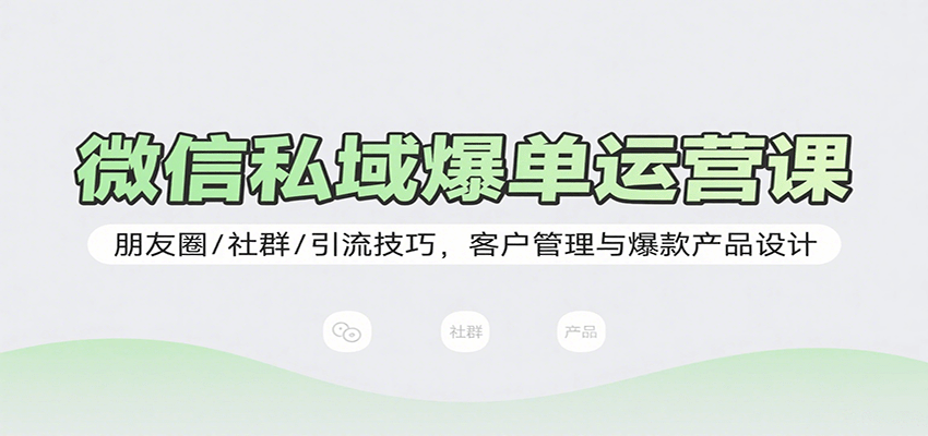 微信私域爆单运营课：朋友圈/社群/引流技巧，客户管理与爆款产品设计插图