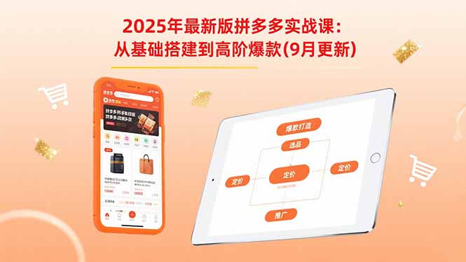 （15899期）2025年最新版拼多多实战课：从基础搭建到高阶爆款（9月更新）插图