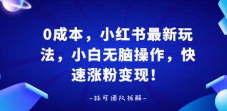 0成本，小红书最新玩法，小白无脑操作，快速涨粉变现插图