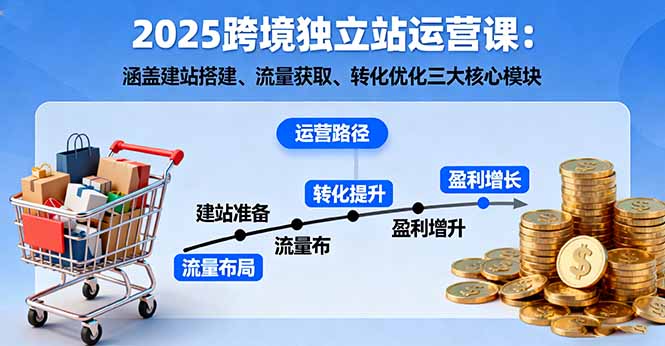 （16211期）2025跨境独立站运营课：涵盖建站搭建、流量获取、转化优化三大核心模块插图