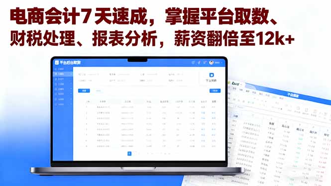 (16192期)电商会计7天速成,掌握平台取数、财税处理、报表分析,薪资翻倍至12k+插图 (16192期)电商会计7天速成,掌握平台取数、财税处理、报表分析,薪资翻倍至12k+插图