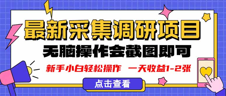 （16155期）新版采集调研项目，截图上传即可，无脑操作，日收益1-2张插图