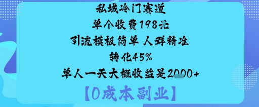 私域冷门赛道:单个收费198米引流模板简单人群精准转化45%单人一天大概收益是1k+插图