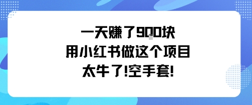 一天挣了9张用小红书做这个项目太牛了，空手套插图