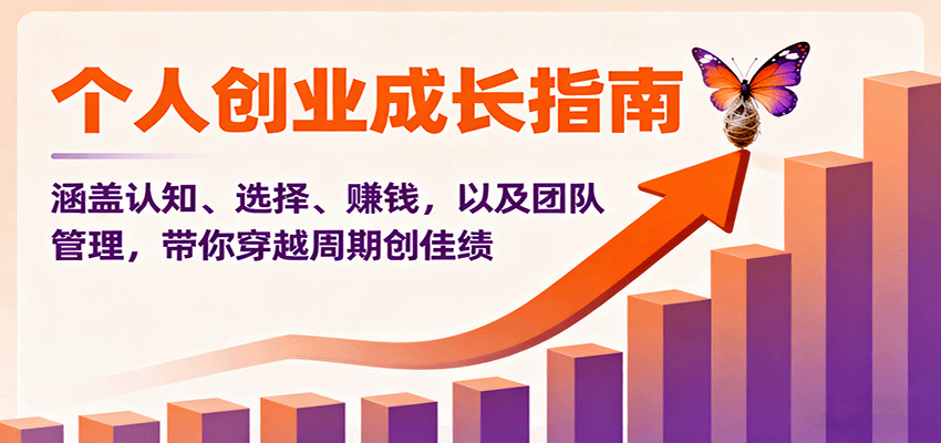 个人创业成长指南：涵盖认知、选择、赚钱，以及团队管理，带你穿越周期创佳绩插图