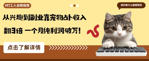 从兴趣到副业靠宠物占卜收入翻3倍一个月纯利润破W插图