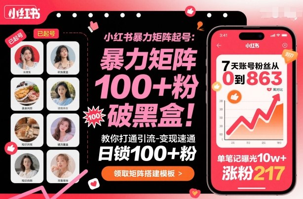 小红书暴力矩阵起号，教你打通引流-变现速通，日锁100+粉，破流量黑盒插图
