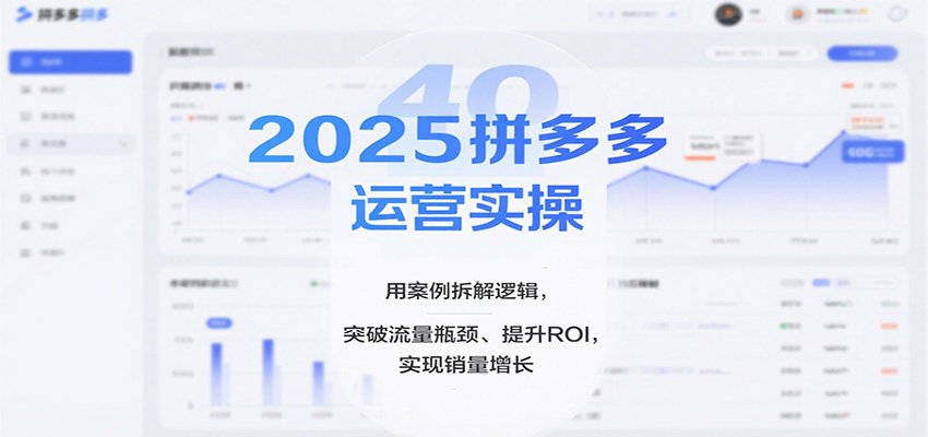 2025拼多多运营实操，用案例拆解逻辑，突破流量瓶颈、提升ROI，实现销量增长插图