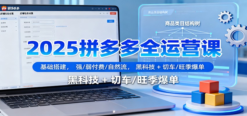 2025拼多多全运营课:基础搭建,强/弱付费/自然流,黑科技 + 切车/旺季爆单插图 2025拼多多全运营课:基础搭建,强/弱付费/自然流,黑科技 + 切车/旺季爆单插图